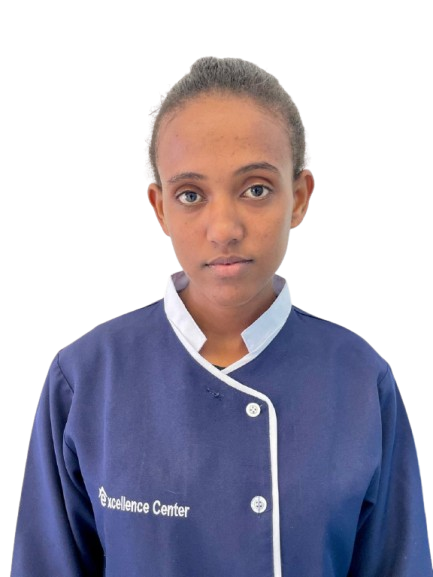 maid visa dubai