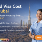 Maid Visa Cost in Dubai Fast Tadbeer Processing from AED 7850 1
